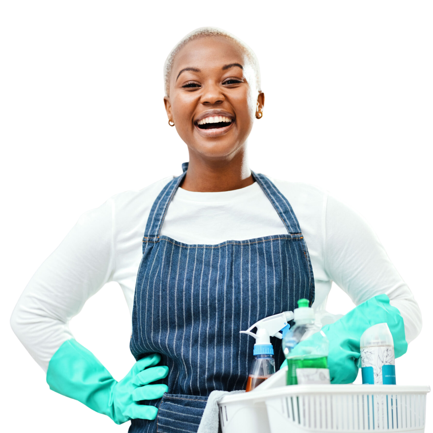 Professional Cleaning Services