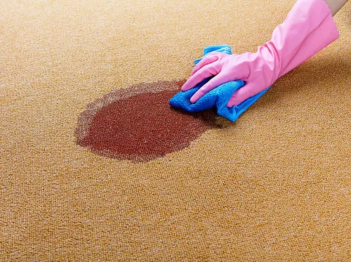 Carpet Shampooing showcase